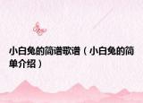 小白兔的简谱歌谱（小白兔的简单介绍）