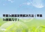 苹果5s屏幕发黄解决方法（苹果5s屏幕几寸）