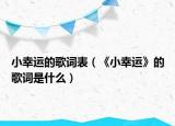 小幸运的歌词表（《小幸运》的歌词是什么）