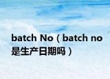batch No（batch no是生产日期吗）