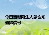 今日更新陌生人怎么知道微信号