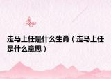 走马上任是什么生肖（走马上任是什么意思）