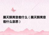 黑天鹅寓意着什么（黑天鹅寓意着什么意思）