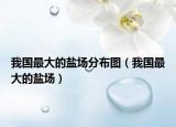 我国最大的盐场分布图（我国最大的盐场）