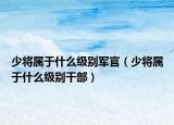 少将属于什么级别军官（少将属于什么级别干部）