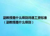 副教授是什么级别待遇工资标准（副教授是什么级别）