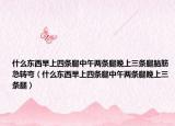 什么东西早上四条腿中午两条腿晚上三条腿脑筋急转弯（什么东西早上四条腿中午两条腿晚上三条腿）
