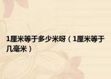 1厘米等于多少米呀（1厘米等于几毫米）