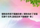 冒险岛专用下载器在哪（冒险岛补丁安装在那个文件,游戏目录下是哪里? 急）