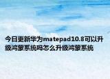 今日更新华为matepad10.8可以升级鸿蒙系统吗怎么升级鸿蒙系统