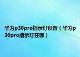 华为p30pro指示灯设置（华为p30pro指示灯在哪）