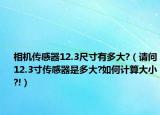 相机传感器12.3尺寸有多大?（请问12.3寸传感器是多大?如何计算大小?!）