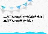 三月不知肉味形容什么独特魅力（三月不知肉味形容什么）