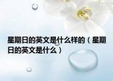 星期日的英文是什么样的（星期日的英文是什么）