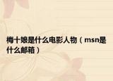 梅十娘是什么电影人物（msn是什么邮箱）