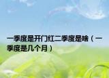 一季度是开门红二季度是啥（一季度是几个月）