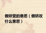 傲娇受的意思（傲娇攻什么意思）