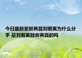 今日最新更新黄磊刘若英为什么分手 是刘若英放弃黄磊的吗