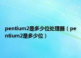 pentium2是多少位处理器（pentium2是多少位）