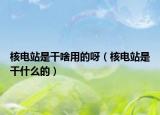 核电站是干啥用的呀（核电站是干什么的）