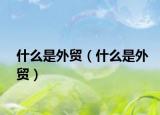 什么是外贸（什么是外贸）
