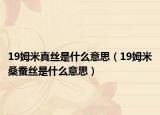 19姆米真丝是什么意思（19姆米桑蚕丝是什么意思）
