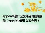 appdata是什么文件夹可删除的吗（appdata是什么文件夹）