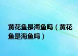 黄花鱼是海鱼吗（黄花鱼是海鱼吗）