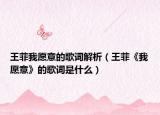 王菲我愿意的歌词解析（王菲《我愿意》的歌词是什么）