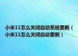 小米11怎么关闭自动系统更新（小米11怎么关闭自动更新）