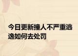今日更新撞人不严重逃逸如何去处罚
