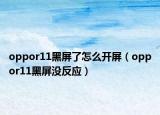 oppor11黑屏了怎么开屏（oppor11黑屏没反应）