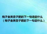 梅子金黄杏子肥的下一句诗是什么（梅子金黄杏子肥的下一句是什么）