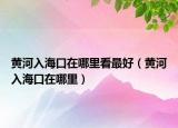 黄河入海口在哪里看最好（黄河入海口在哪里）