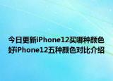 今日更新iPhone12买哪种颜色好iPhone12五种颜色对比介绍