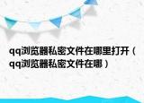 qq浏览器私密文件在哪里打开（qq浏览器私密文件在哪）