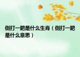 倒打一耙是什么生肖（倒打一耙是什么意思）