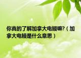 你真的了解加拿大电鳗嘛?（加拿大电鳗是什么意思）