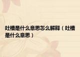 吐槽是什么意思怎么解释（吐槽是什么意思）