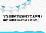 华为应用锁忘记密码了怎么解开（华为应用锁忘记密码了怎么办）