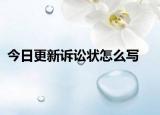 今日更新诉讼状怎么写