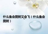 什么鱼会爬树又会飞（什么鱼会爬树）