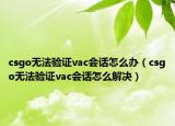 csgo无法验证vac会话怎么办（csgo无法验证vac会话怎么解决）
