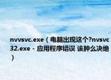 nvvsvc.exe（电脑出现这个?nvsvc32.exe - 应用程序错误 该肿么决绝）