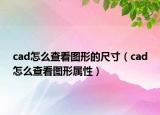 cad怎么查看图形的尺寸（cad怎么查看图形属性）