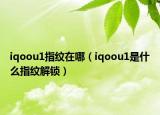 iqoou1指纹在哪（iqoou1是什么指纹解锁）