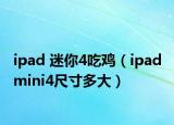 ipad 迷你4吃鸡（ipad mini4尺寸多大）
