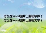 怎么在word图片上编辑字体（怎么在word图片上编辑文字）