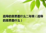 疏导的意思是什么二年级（疏导的意思是什么）