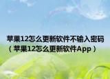 苹果12怎么更新软件不输入密码（苹果12怎么更新软件App）